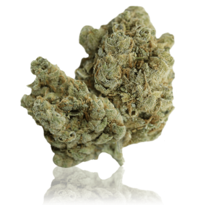AMNESIA HAZE – infiorescenza di canapa legale | Ganja Italia