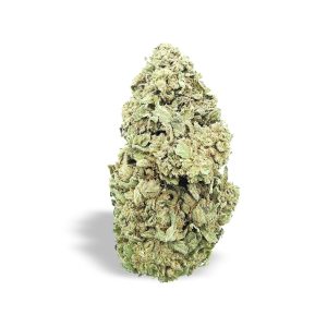 BUDDA KUSH – infiorescenza di canapa legale | Ganja Italia