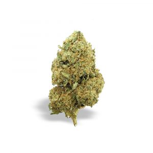 GORILLA GLUE – infiorescenza di canapa legale | Ganja Italia