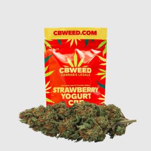 STRAWBERRY YOGURT CBD – infiorescenza di canapa legale | Ganja Italia