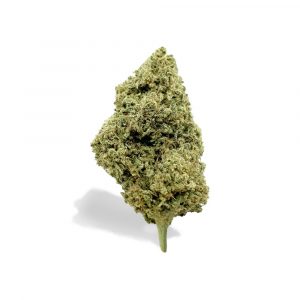 NEW YORK DIESEL – infiorescenza di canapa legale | Ganja Italia