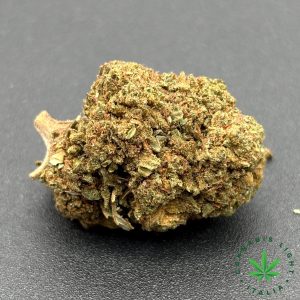 AMNESIA ORANGE – infiorescenza di canapa legale | Ganja Italia