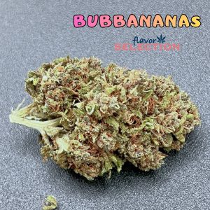 BUBBANANAS – infiorescenza di canapa legale | Ganja Italia