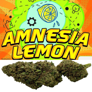 AMNESIA LEMON – infiorescenza di canapa legale | Ganja Italia