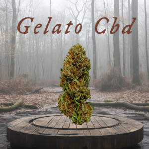 GELATO’24 – infiorescenza di canapa legale | Ganja Italia