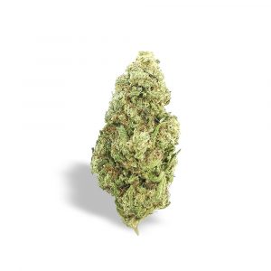 LEMON SKUNK – infiorescenza di canapa legale | Ganja Italia