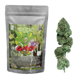 GMO KUSH – infiorescenza di canapa legale | Ganja Italia