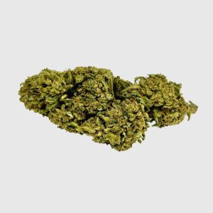 WATERMELON CBD – infiorescenza di canapa legale | Ganja Italia