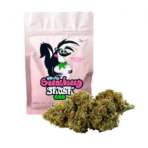 WHITE STRAWBERRY SKUNK CBD – infiorescenza di canapa legale | Ganja Italia