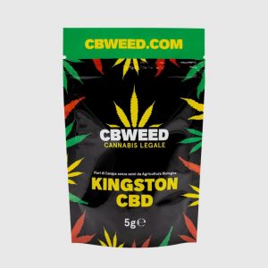 KINGSTON CBD – infiorescenza di canapa legale | Ganja Italia