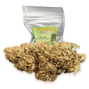 PINEAPPLE CANDY bio – infiorescenza di canapa legale | Ganja Italia