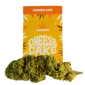 CHEESE CAKE CBD – infiorescenza di canapa legale | Ganja Italia