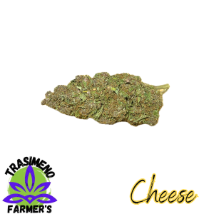 CHEESE – infiorescenza di canapa legale | Ganja Italia