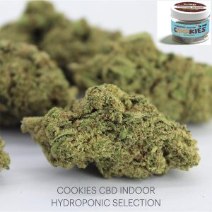COOKIES CBD Selezione Indoor Idroponica – infiorescenza di canapa legale | Ganja Italia