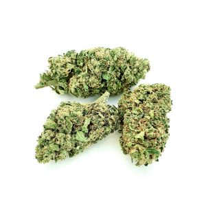 DINAMED PLUS#5 – infiorescenza di canapa legale | Ganja Italia