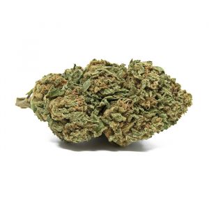 DREAMS BERRY – infiorescenza di canapa legale | Ganja Italia