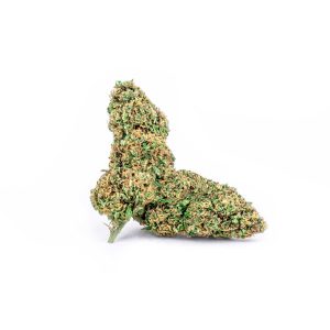 FRAGOLINA – infiorescenza di canapa legale | Ganja Italia