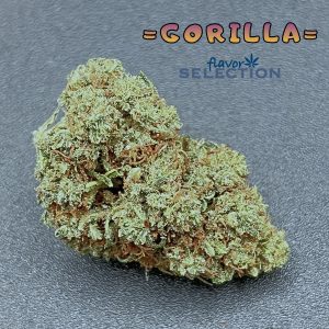 GORILLA – infiorescenza di canapa legale | Ganja Italia