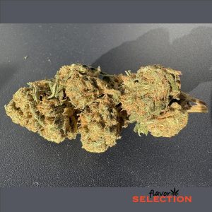 SWEET DEVIL – infiorescenza di canapa legale | Ganja Italia
