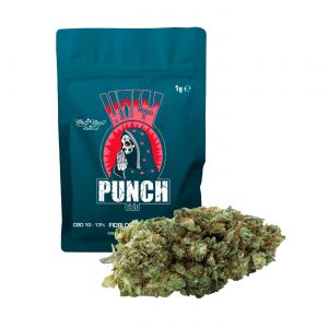 HOLY PUNCH – infiorescenza di canapa legale | Ganja Italia
