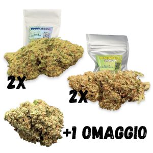 PROMO PACK 4+1 Omaggio – kit di canapa legale | Ganja Italia