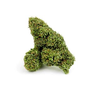 KIWI COLADA – infiorescenza di canapa legale | Ganja Italia