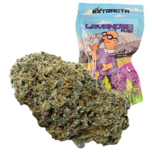 LAVANDER KUSH – infiorescenza di canapa legale | Ganja Italia
