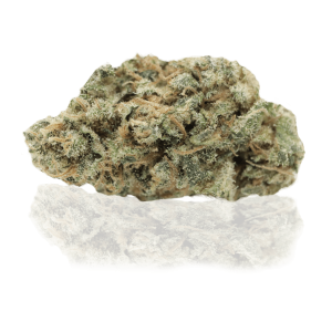 LEMON TONIK – infiorescenza di canapa legale | Ganja Italia