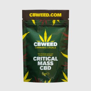 CRITICAL MASS CBD – infiorescenza di canapa legale | Ganja Italia