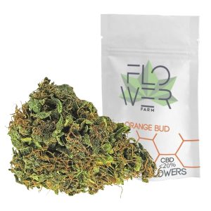 ORANGE BUD – infiorescenza di canapa legale | Ganja Italia