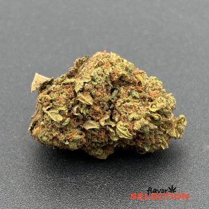 ORANGE SKUNK Big or Small – infiorescenza di canapa legale | Ganja Italia