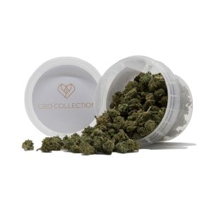 SMALL BUDS – infiorescenza di canapa legale | Ganja Italia