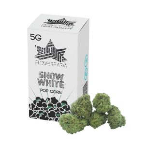 SNOW WHITE PopCorn Buds – infiorescenza di canapa legale | Ganja Italia