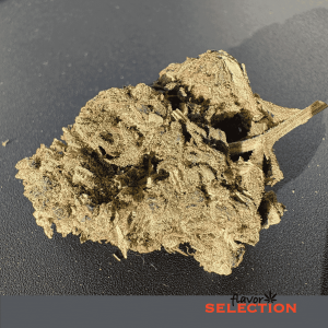SUPER SILVER HAZE – infiorescenza di canapa legale | Ganja Italia