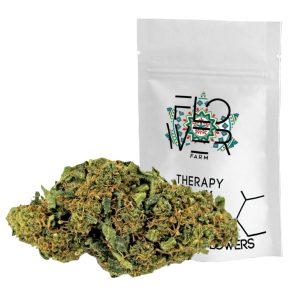 THERAPY Bio – infiorescenza di canapa legale | Ganja Italia