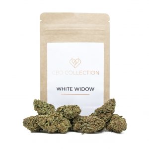 WHITE WIDOW – infiorescenza di canapa legale | Ganja Italia